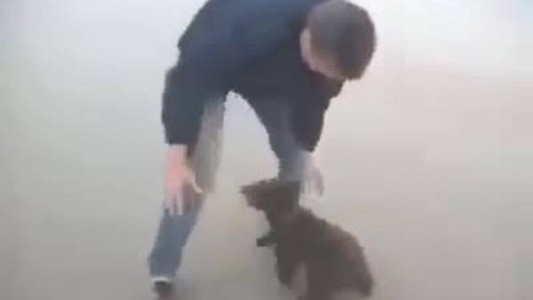 #EsViral El osito agradecido con el hombre que lo salvó de un incendio forestal