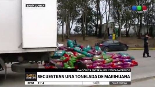 Secuestran una tonelada de marihuana en un camión que trasladaba alimento balanceado