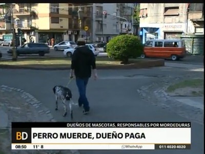 Perro muerde, dueño paga