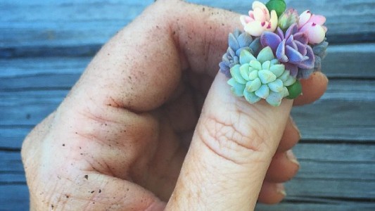 La nueva y alocada tendencia es usar plantas en las uñas... aunque usted no lo crea