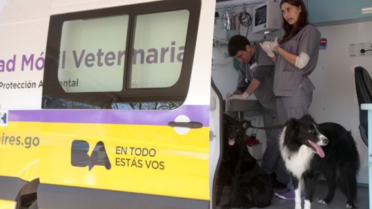Hoy brindan atención veterinaria gratuita en Capital Federal