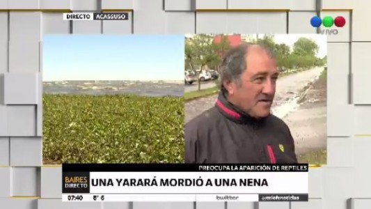 Alerta en la ribera: una yarará mordió a una nena en Acassuso