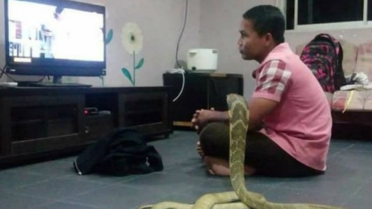 El hombre que se casó con una serpiente porque cree que es la reencarnación de su mujer