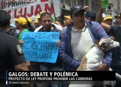 Galgos: debate y polémica