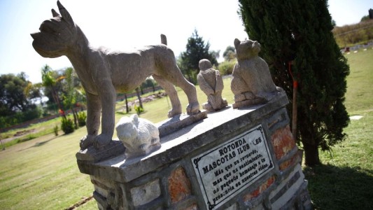 Aprueban la creación de un cementerio y crematorio de animales en Rosario