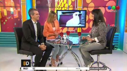 Baires Directo Bloque 4 21/11/2016