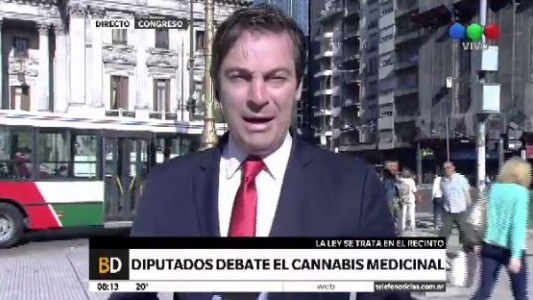 Cannabis medicinal: qué se puede aprobar hoy y qué se dejaría afuera
