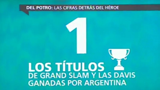 Del Potro: las cifras detrás del héroe