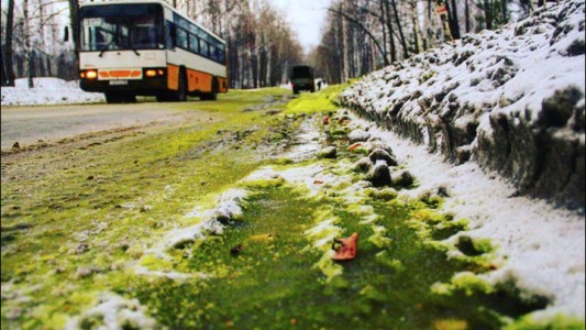 Misterio por la nieve verde en una ciudad rusa