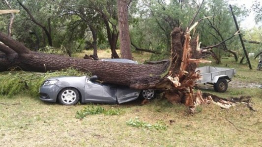Temporal en Río Negro: dos personas murieron aplastadas por un árbol