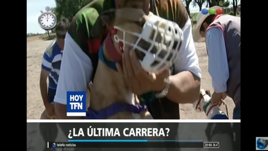 Minuto RSS: Resumen de viernes feriado, en sólo 60 segundos