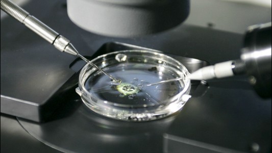 Justicia ordena a obra social la cobertura total del tratamiento de fertilización a una mujer