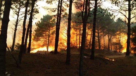 Incendio en Valeria del Mar y Cariló: trabajan diez dotaciones de bomberos