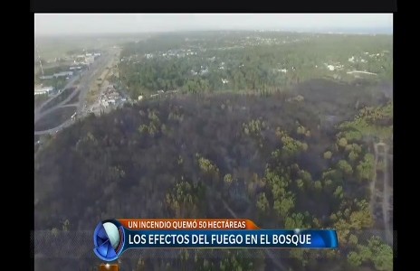 Ministro de Ambiente e intendente de Pinamar creen que el incendio en Valeria del Mar pudo ser "intencional"
