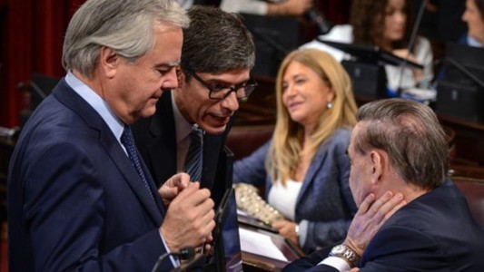 El Senado convirtió en ley el proyecto de Emergencia Social