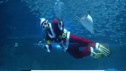 Papá Noel también bucea