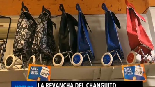 La revancha del changuito