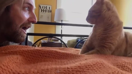 #EsViral la venganza contra el gato que no lo dejaba dormir