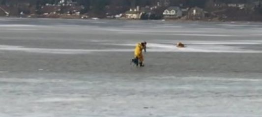 El heroico rescate de un perro de un lago helado de Estados Unidos