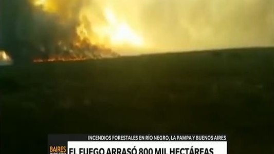 Ya son 800 mil las hectáreas quemadas en la región pampeana