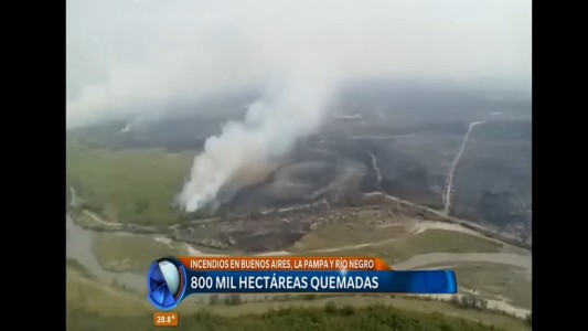 Tras arrasar miles de hectáreas en La Pampa, el incendio llegó a la provincia de Buenos Aires