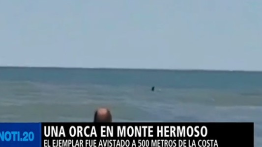 Apareció una orca en Monte Hermoso