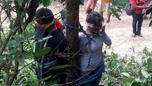 Acusaron a un mujer de robo, la ataron a un árbol y murió picada por hormigas venenosas