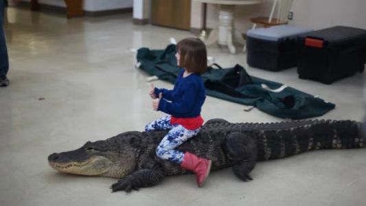 La nena que pasea montada en el lomo de un lagarto