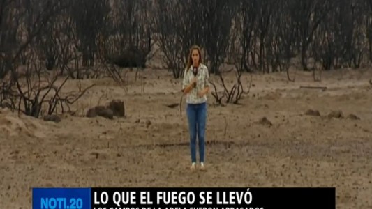 La Pampa: lo que el fuego se llevó