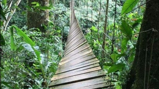 Al menos 11 muertos y 14 heridos por la caída de un puente colgante en Colombia