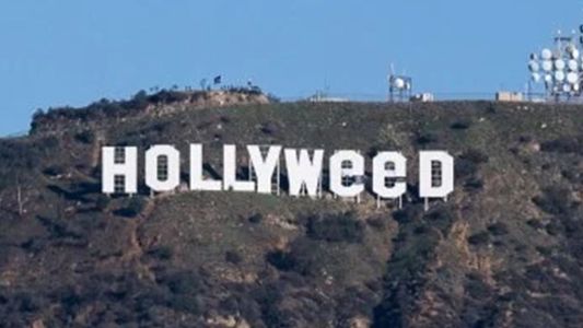 Se entregó a la policía el autor del cartel "Hollyweed”
