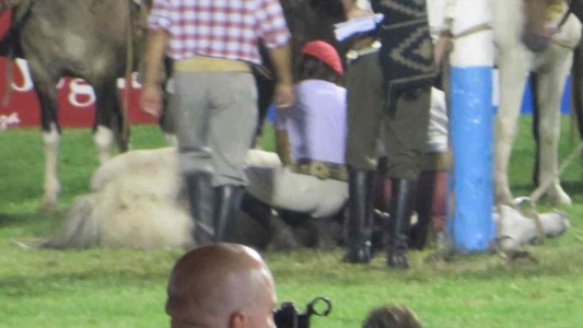 Sacrificaron un caballo que participaba del Festival de Jesús María