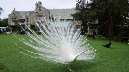 Estas son las cinco casas más caras del mundo que fueron vendidas en 2016