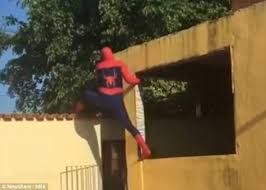 Video viral: el hombre jugaba a ser spiderman y mirá lo que le pasó