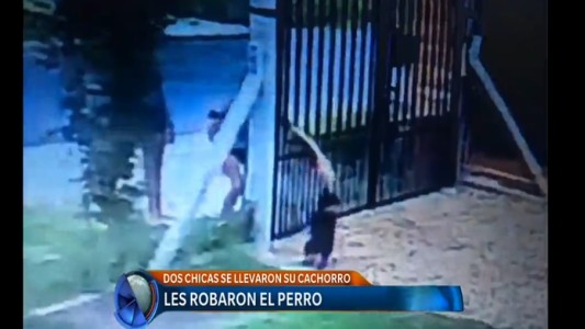 Video: así les robaron el perro en su casa de La Plata