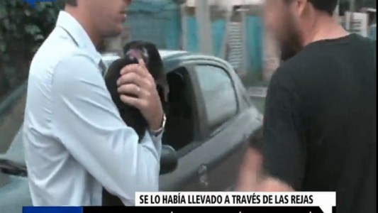 Su hijastra robó un perro y él lo devolvió