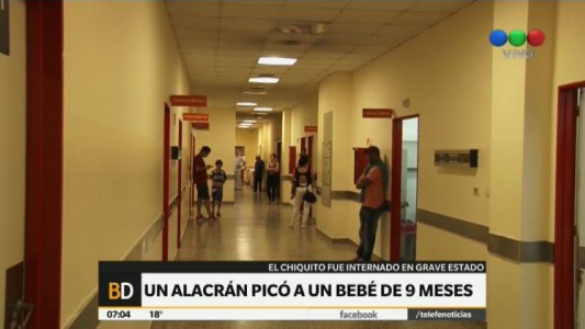 Bebé de nueve meses está internado en grave estado luego de que lo picara un alacrán