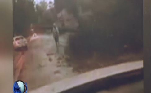 Daños que dejó el temporal en Pilar