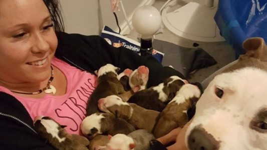 El emocionante gesto de confianza de una perra a la mujer que le salvó la vida