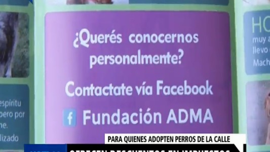 Ofrecen descuentos en impuestos a quienes adopten perros de la calle