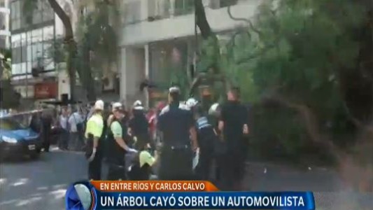 Un árbol cayó sobre un motociclista