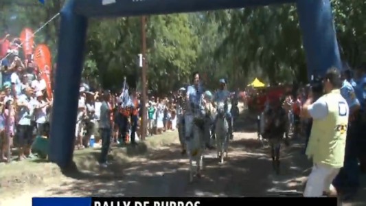 Un rally de burros en Córdoba