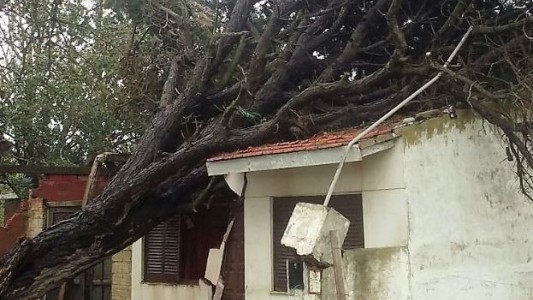Un fuerte temporal de lluvia y viento causó destrozos en la Costa