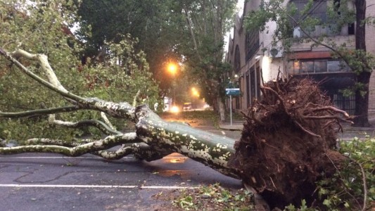 Unas 23.000 personas sin luz, evacuados y destrozos en Montevideo por el temporal