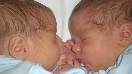 Indemnizan a una mujer que fue inseminada con el esperma equivocado