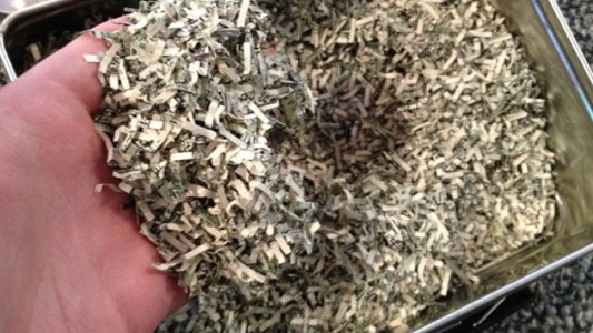 Misterio en Córdoba: encontraron más de dos millones de pesos triturados en la basura