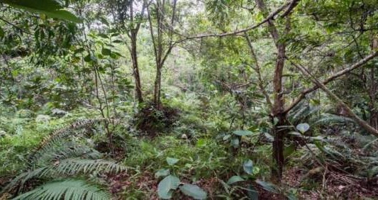 El reto visual del Ejército británico en Facebook: ¿cuánto soldados ves en la foto?