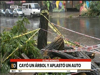 Un árbol aplastó un auto en Palermo
