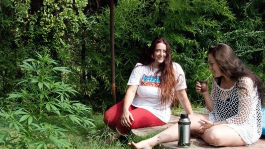 Le dieron prisión domiciliaria a la mujer que tenía plantas de cannabis para uso medicinal