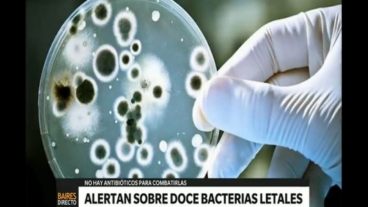 Alertan sobre doce bacterias letales